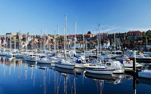 免费高速下载的免费ddos攻击网页端